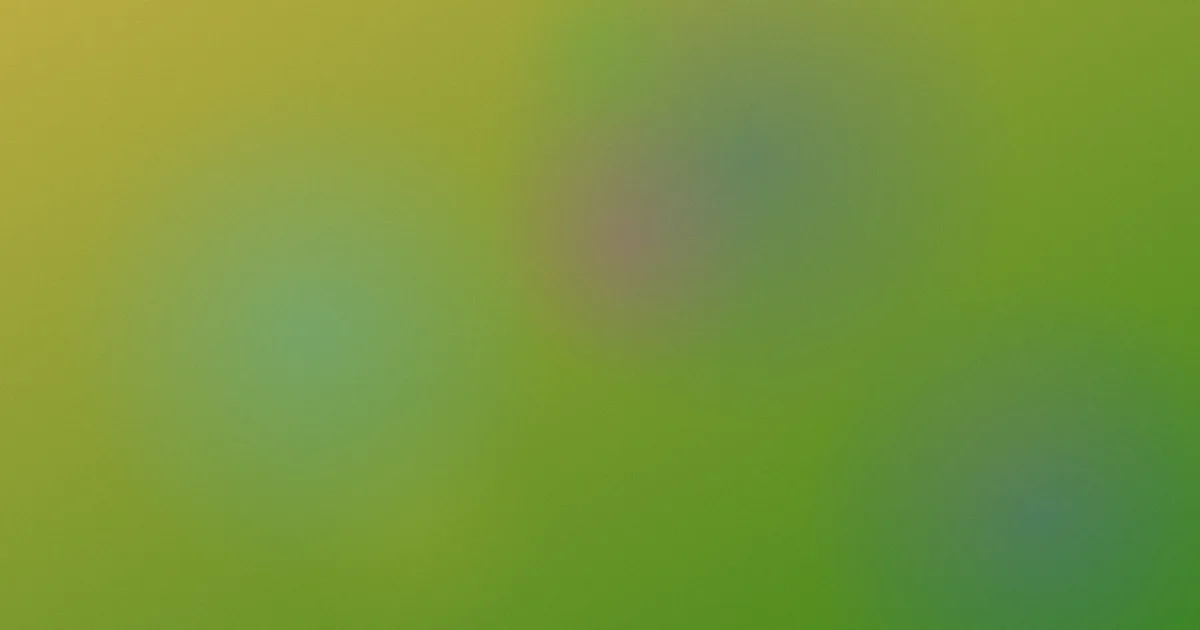 wanh攻略：同类工具怎么选